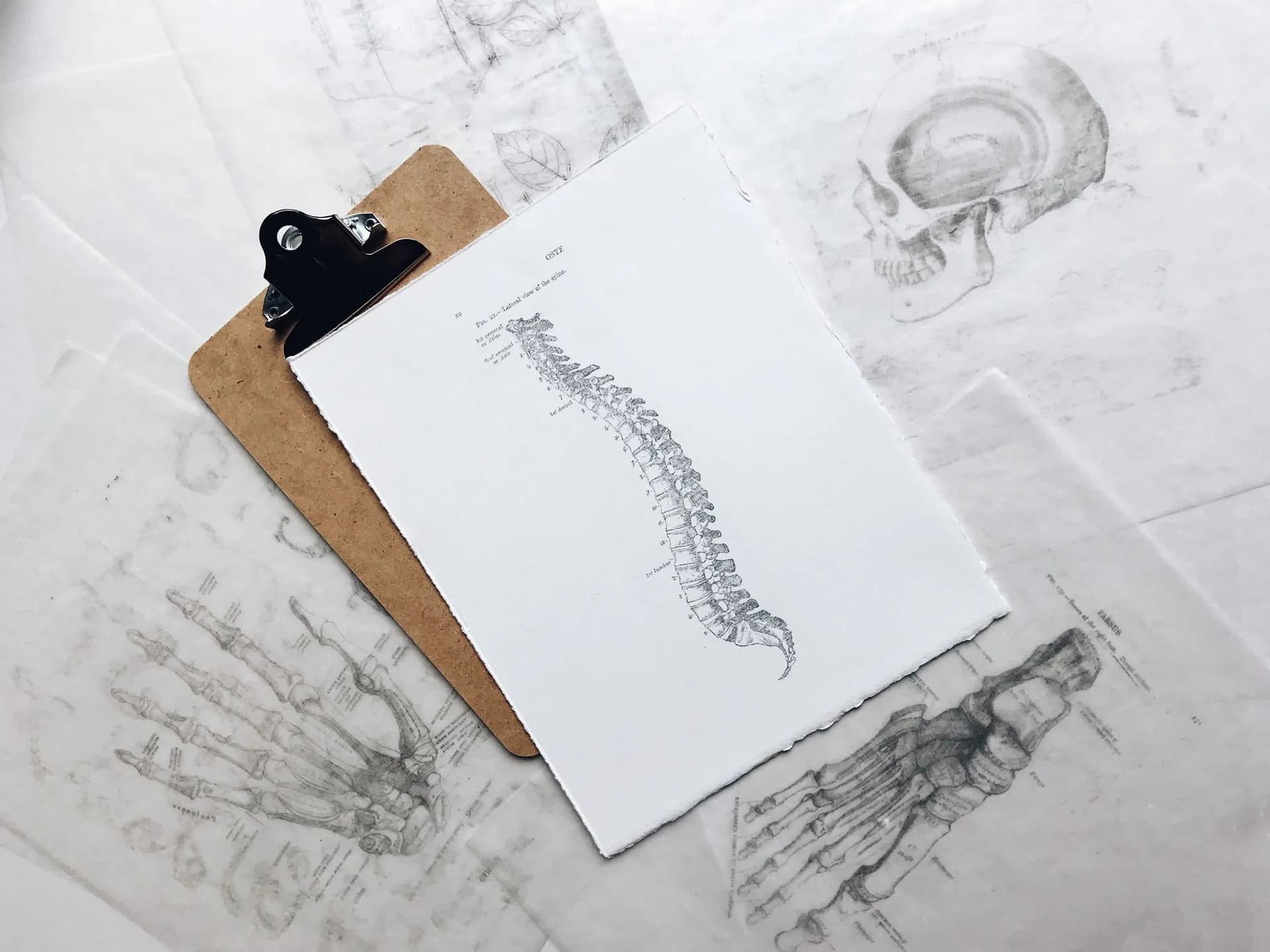 Pillow for neck pain and spinal degeneration